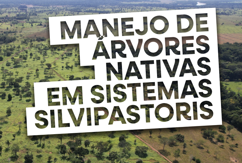 Manejo de Árvores Nativas em Sistemas Silvipastoris